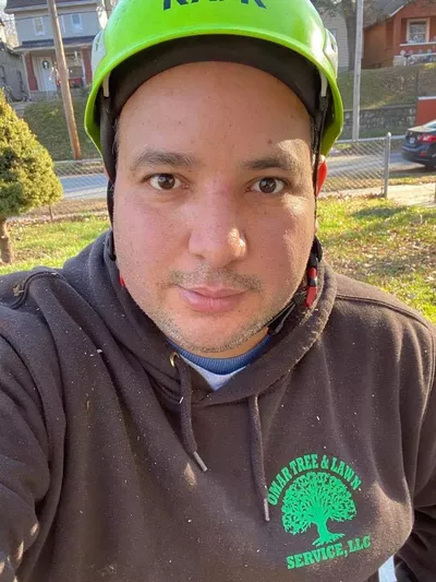 omar tree & lawn service
