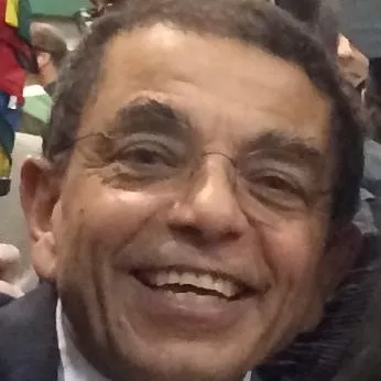 Ihab Farag