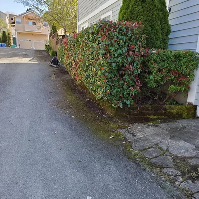 Small Guy Landscaping