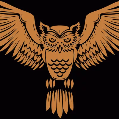 EvoDesign Enterprises LLC