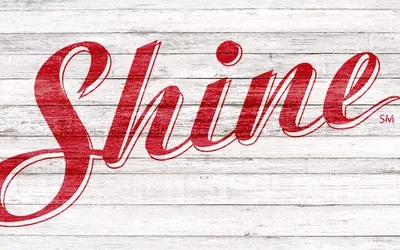Shine Window Cleaning and Holiday Lighting