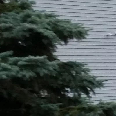 Crookshanks Landscape Co.