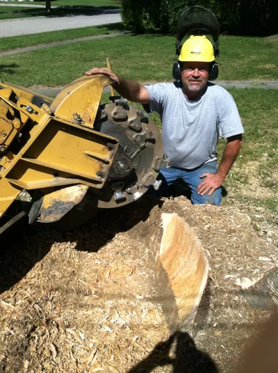 AAA Swartz Stump Grinding