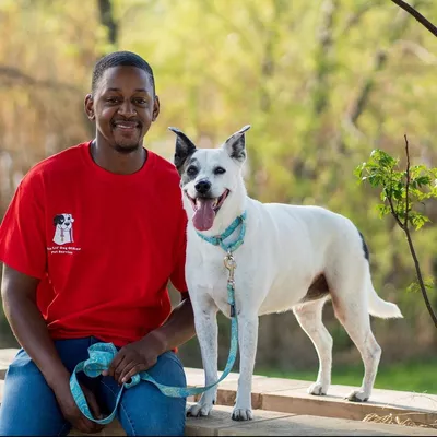 This Lil Dog of Mine Pet Services