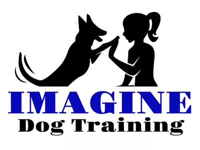Imagine Dog Training