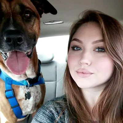 Chelsea Miller Pet Sitting and Dog Walking