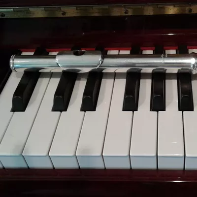 Julie Williams Music Lessons
