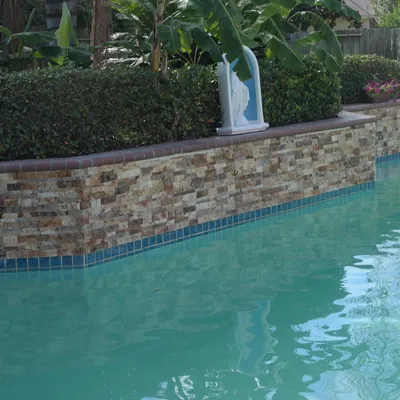 Mayra Chavez Pool Plastering