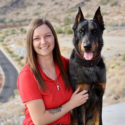 Tailor Made Dog Training