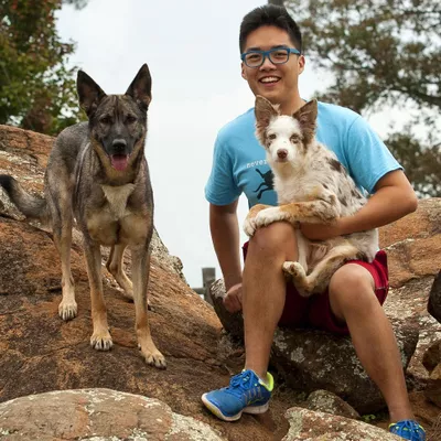 Oh Good Dog Professional Dog Training