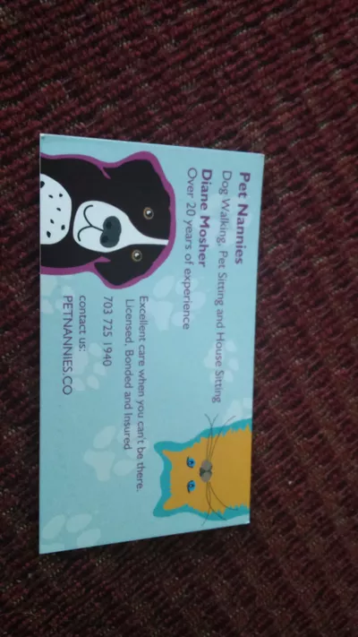pet nannies
