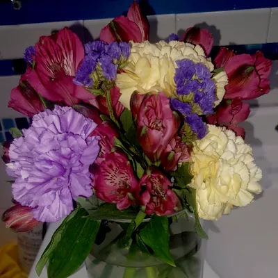 Radiant Blossoms