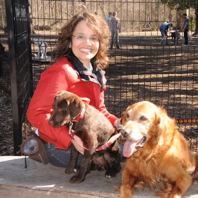 Wet Nose University - Dog Training Tampa
