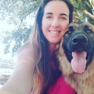 Sonoma County Playful Pets