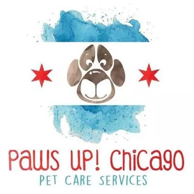 Paws Up! Chicago