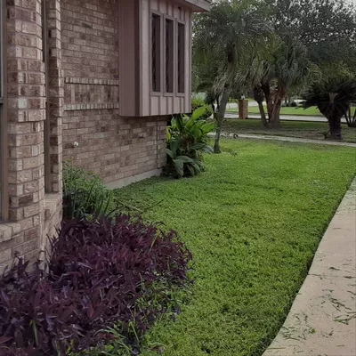 rgv services