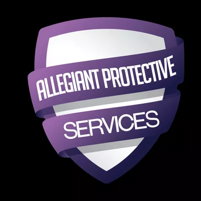 Delux Security LLC