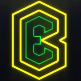BUDDIELECTRIC LLC