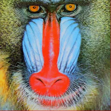 Technical Developments