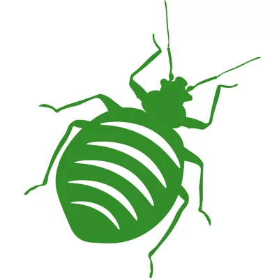 Johnson Bed Bug Treatment
