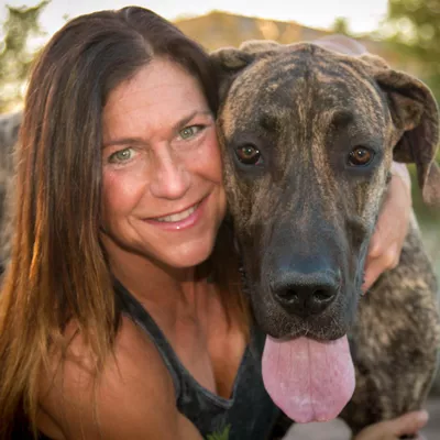 Fit Dog Training