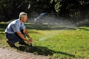 Clear Cut Lawn and Sprinkler