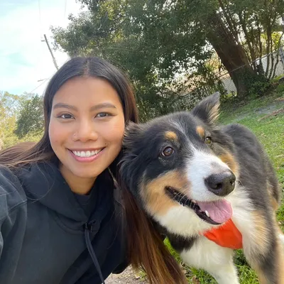 Pet sitting