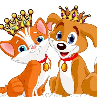 Reigning Cats and Dogs Pet Sitting Service LLC