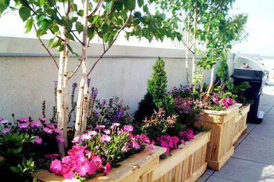 Madison Landscape Solutions