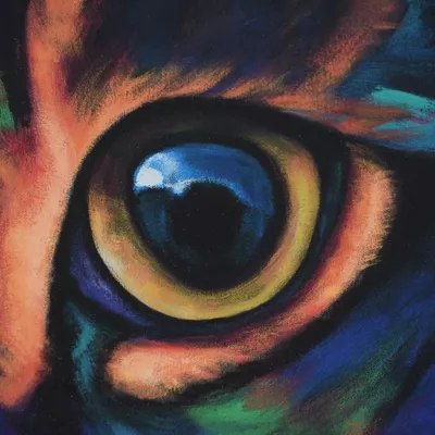 Cat's Eye Cat Sitting