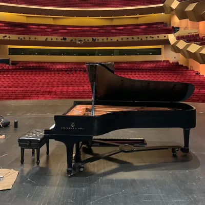 Flood Piano tuning