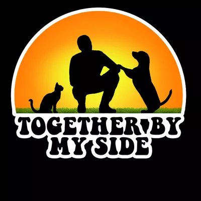Together By My Side