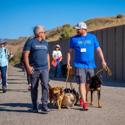 Always Faithful Dog Training of Western Suburbs