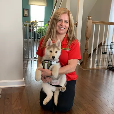 Bark Busters Pinellas County