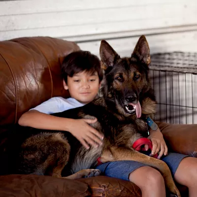 Valor K9 Training