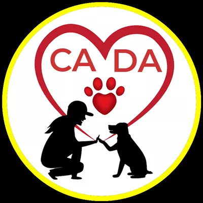 Cousin Anne’s Dog Academy