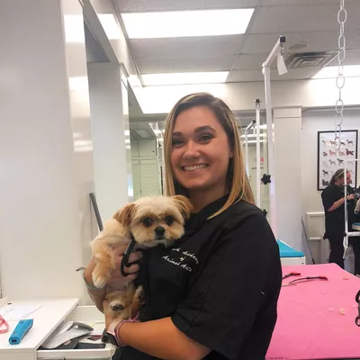 Pampered Pets by Caroline