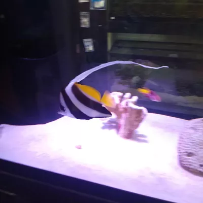 Aquatic Creations LLC