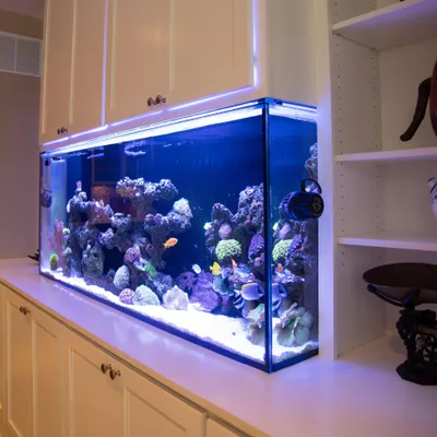 Keystone Aquatic Design, LLC