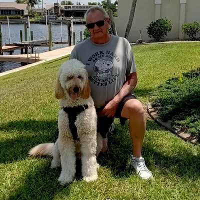 Barry's Dogs