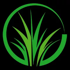 Artificial Grass Arizona