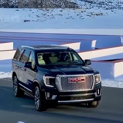 LionsDen Luxury Transport