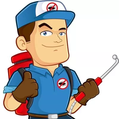 CNY Bed Bug Extermination