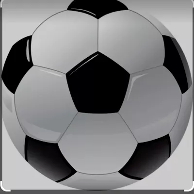 PRO SOCCER TRAINING