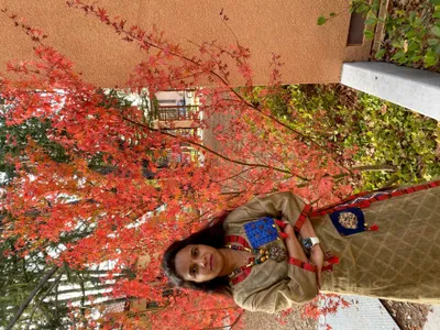 ShilpaKala Art world
