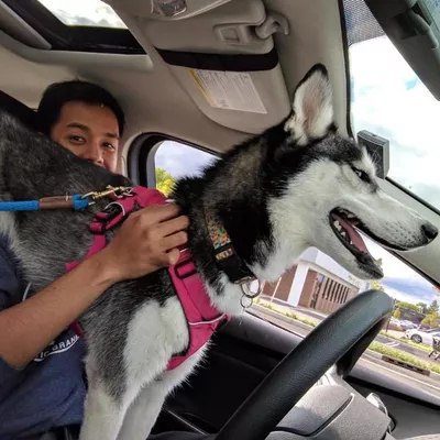 Pet Care Pro