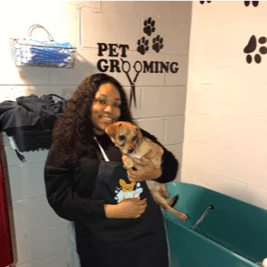 Tori's Pampered Pets
