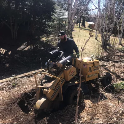 J&J Stump Removal