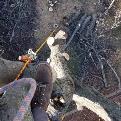 Canopy Care Arborist, LLC