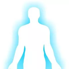 The Wellbeing Advocate